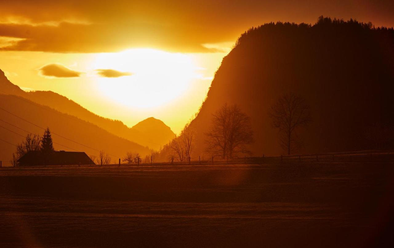 Appartement Eckwald Altenmarkt-Zauchensee Altenmarkt im Pongau Esterno foto
